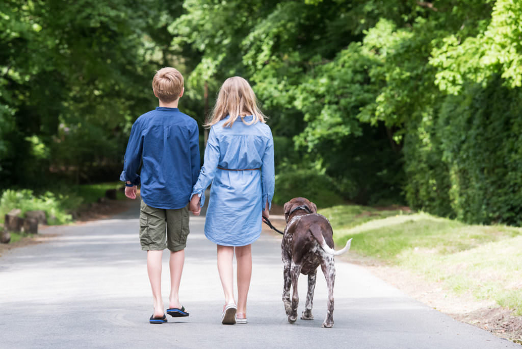 Two children walking away from the camera with their dog during a family photoshoot near Crowborough