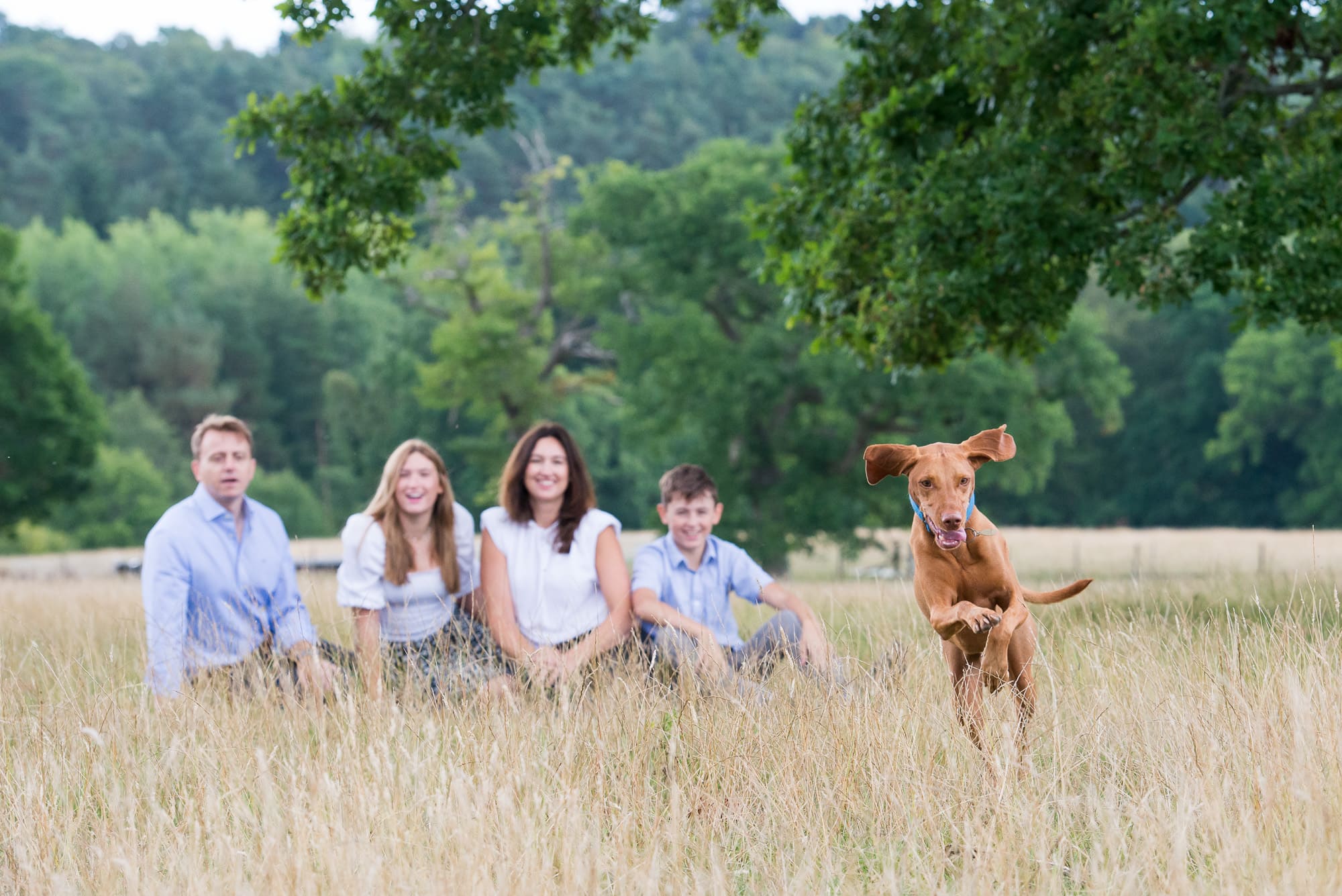 Family sitting in a meadow of grass with their dog running towards the camera