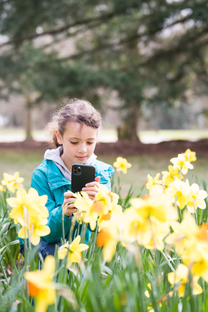 Young girl using her phone to photograph daffodils in Tilgate Park
